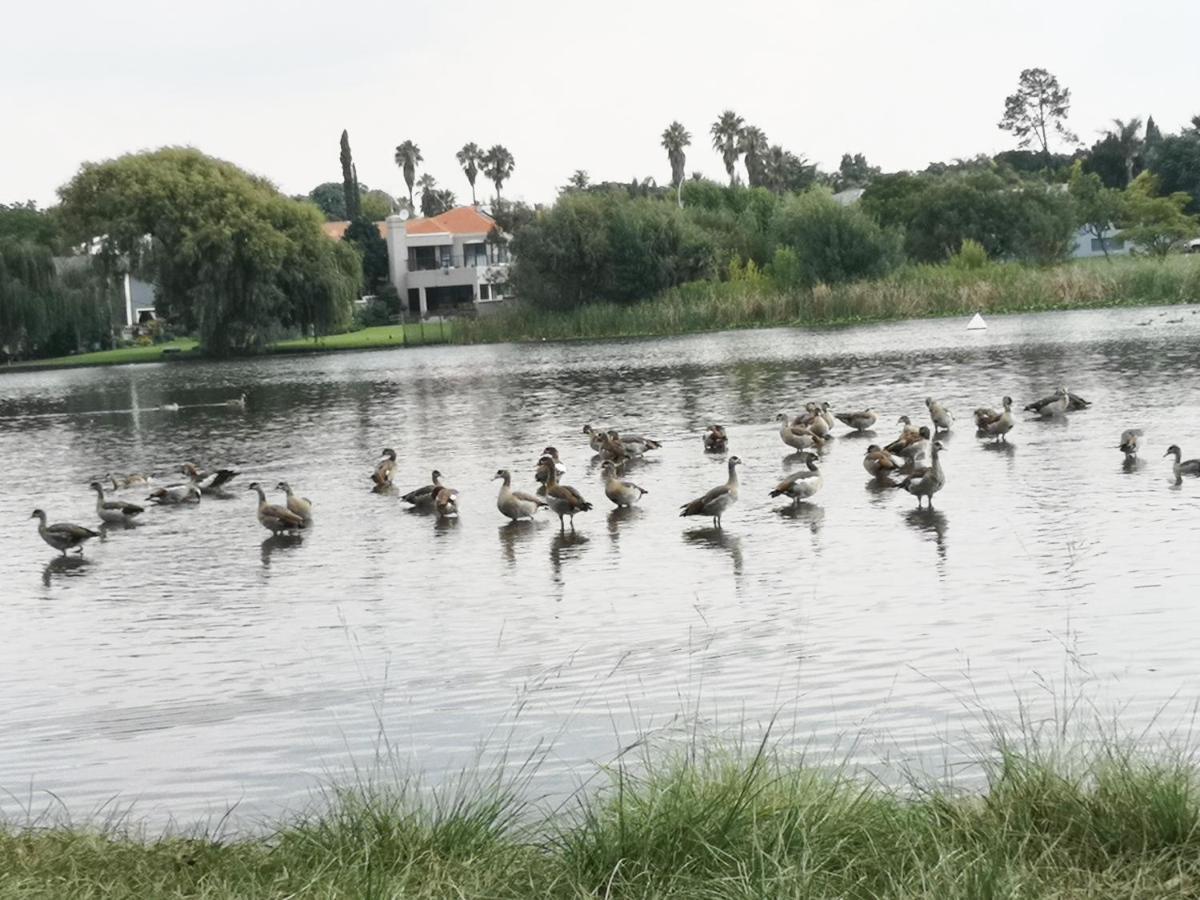 Southy Inn By The Lake Benoni Exteriér fotografie